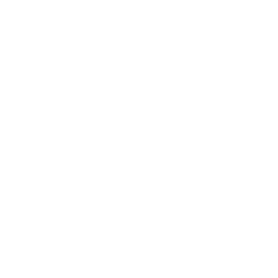 Parkopia Logo